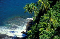 Franch.Polynesia.Tahiti